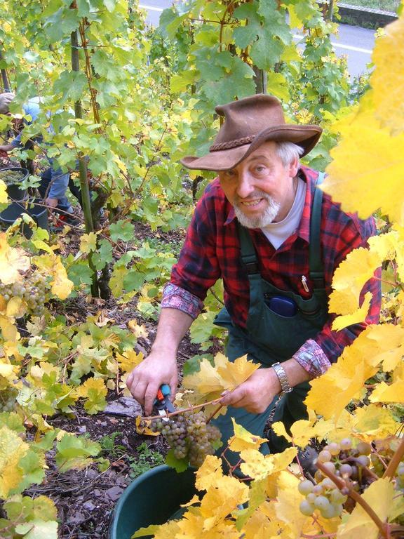 Вілла Kleines Winzerhauschen Бремм Номер фото