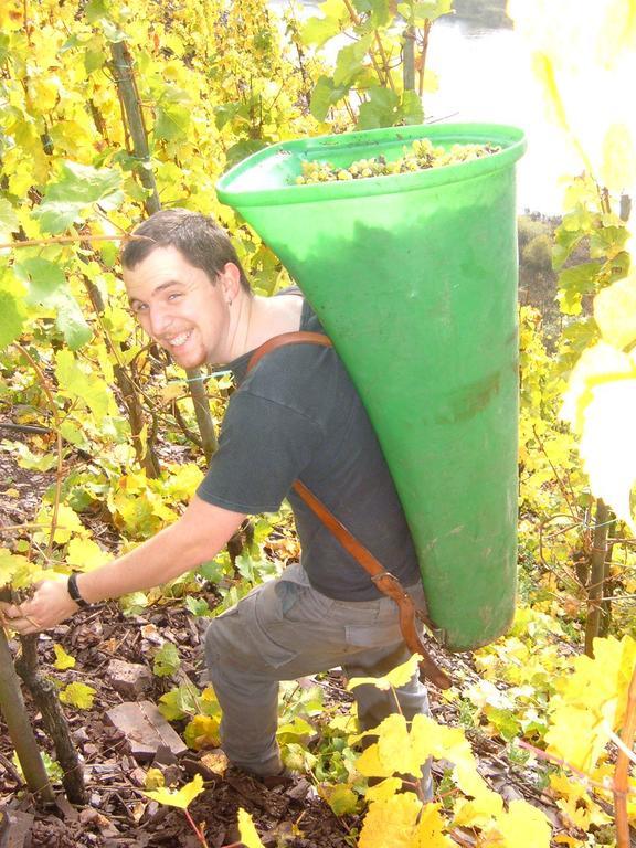 Вілла Kleines Winzerhauschen Бремм Номер фото