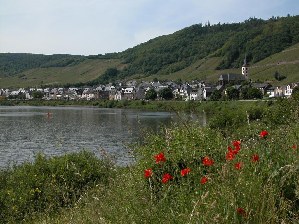 Вілла Kleines Winzerhauschen Бремм Номер фото