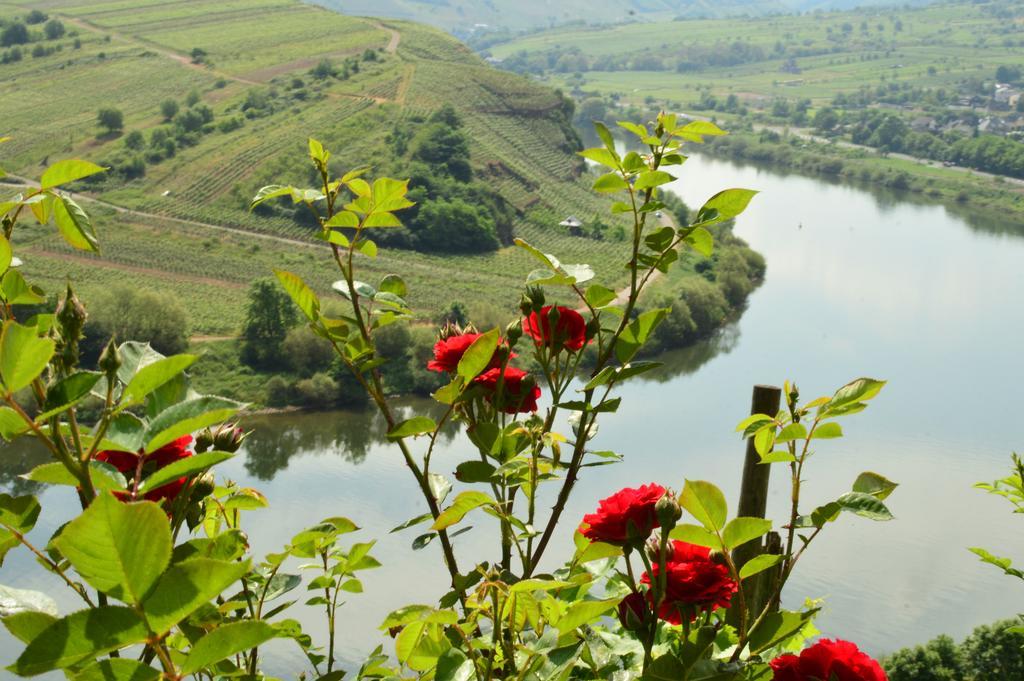 Вілла Kleines Winzerhauschen Бремм Екстер'єр фото